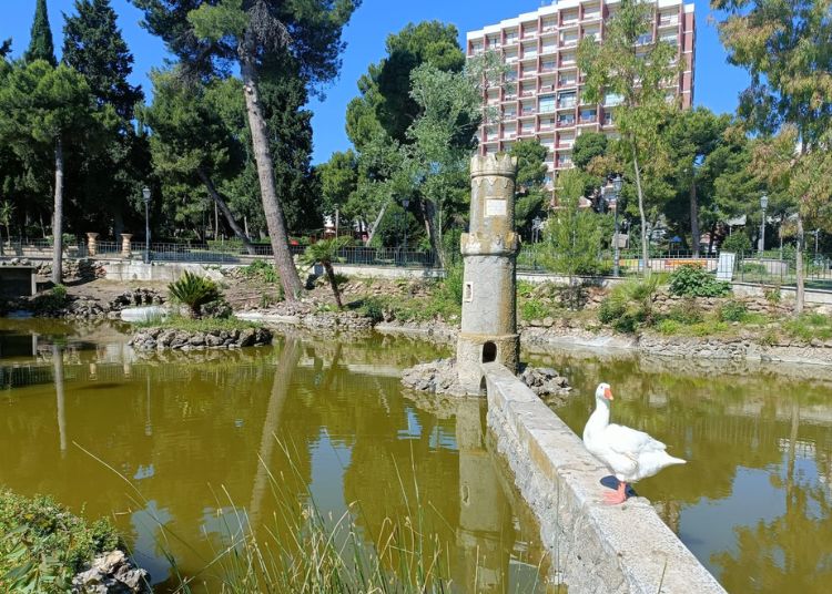 Progetto senza titolo 21