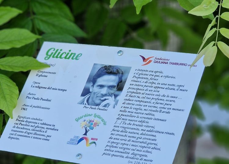 Nel ricordo di Giuliana Tamburro: nasce il primo Giardino Letterario d'Abruzzo al Polo Liceale "R. Mattioli" di Vasto 3 Progetto senza titolo 7 1