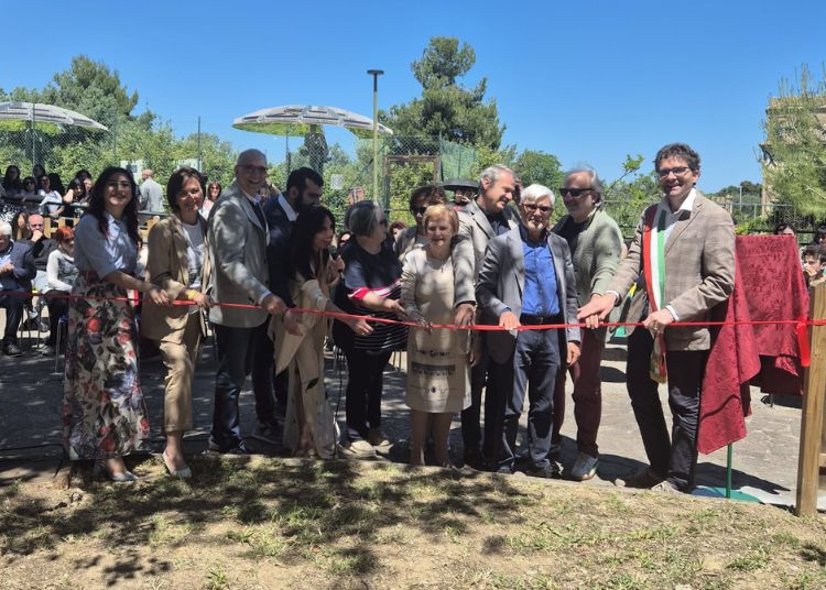 Progetto senza titolo 8