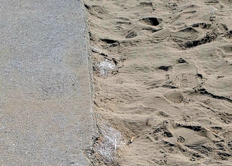 Vasto Marina: cumuli di filamenti di rafia a ridosso del pontile, una minaccia per l'ambiente 3 Untitled design 2025 06 20T102803.791