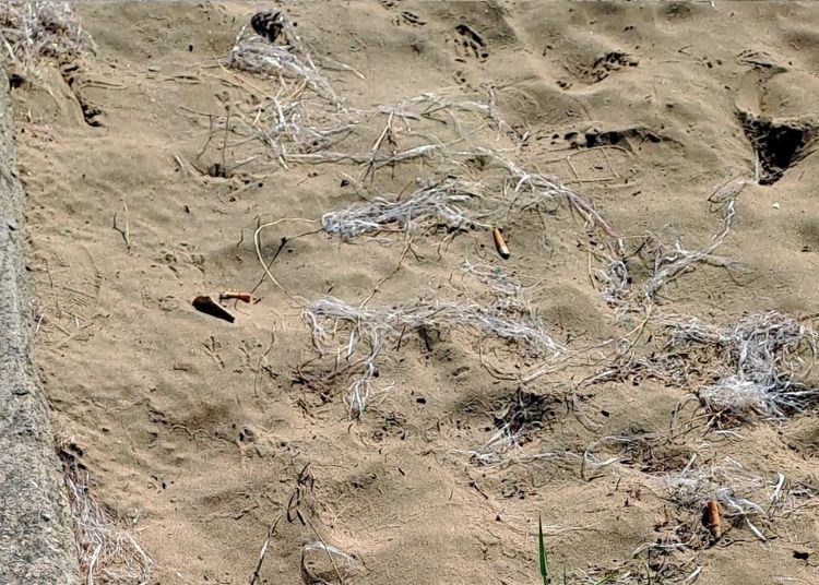 Vasto Marina: cumuli di filamenti di rafia a ridosso del pontile, una minaccia per l'ambiente 2 Untitled design 2025 06 20T102828.674