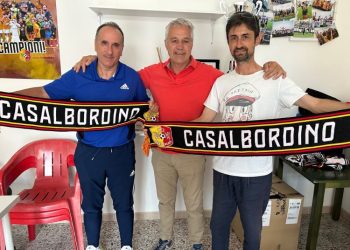 Barisano, Tallarino. D'Addario