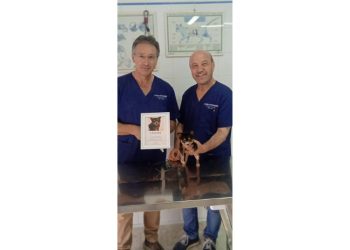 Progetto senza titolo 2025 07 25T162124.682