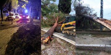 Progetto senza titolo 2025 08 04T092201.736