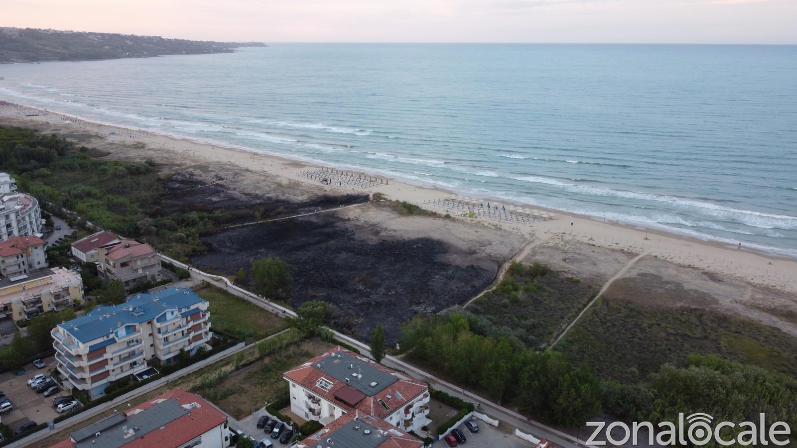 L'area andata a fuoco ieri