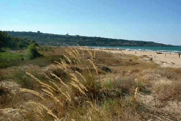 dune marina vasto h