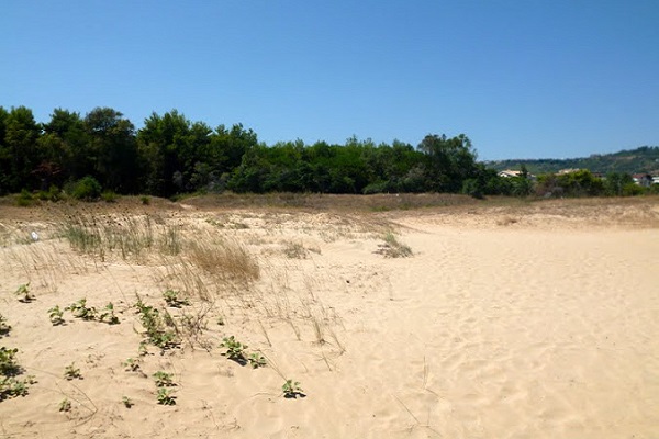 dune vastomarina2019 h