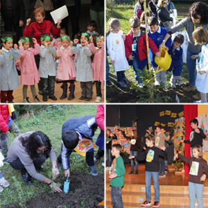 festa albero scuole 2013 collage