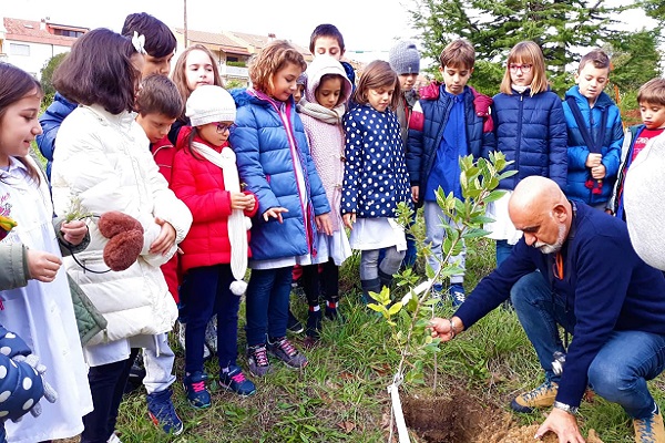 festa albero2019 h