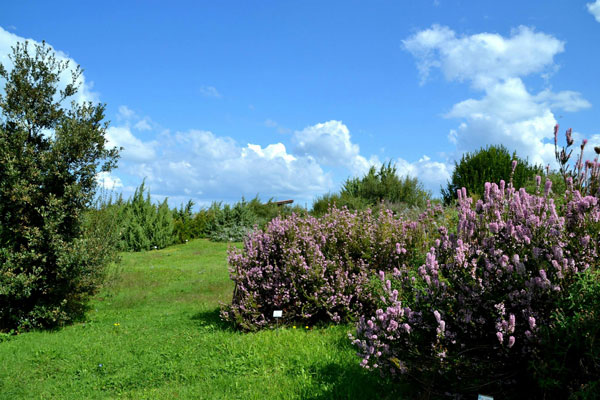 giardino botanico h