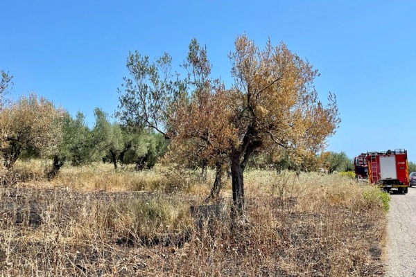 incendi campagna h