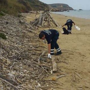 protezione civile pulizia spiaggia q