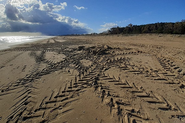 ruspe dune vasto marina mar 2021 h