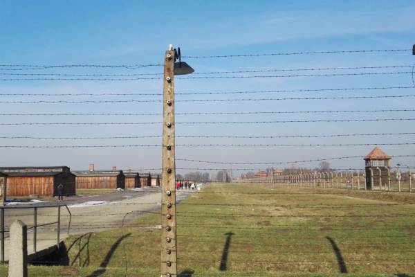 visita auschwitz h