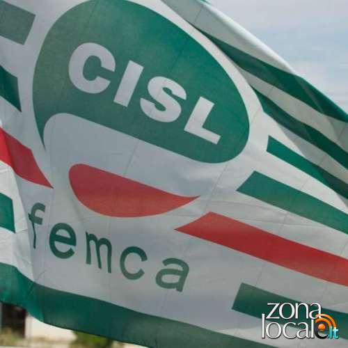 bandiera femca cisl