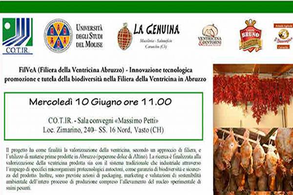 cotir convegno ventricina h