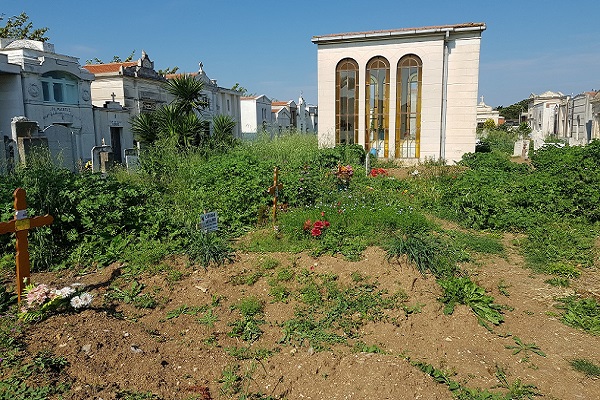 erbacce cimitero h2