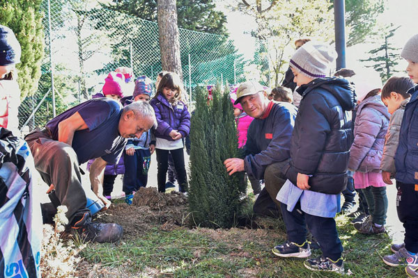 festa albero gissi 16 h