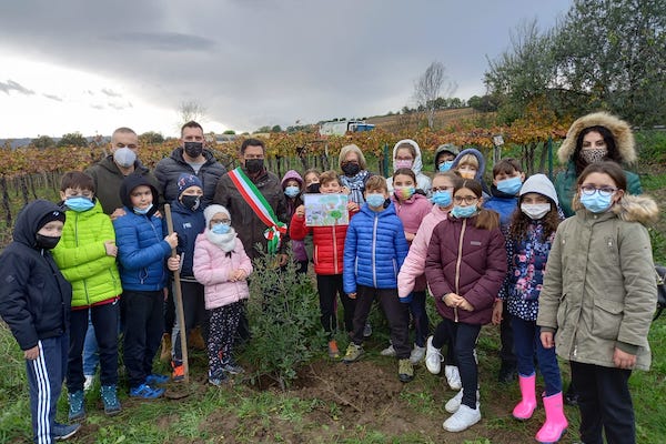 festa albero pollutri 2021 h