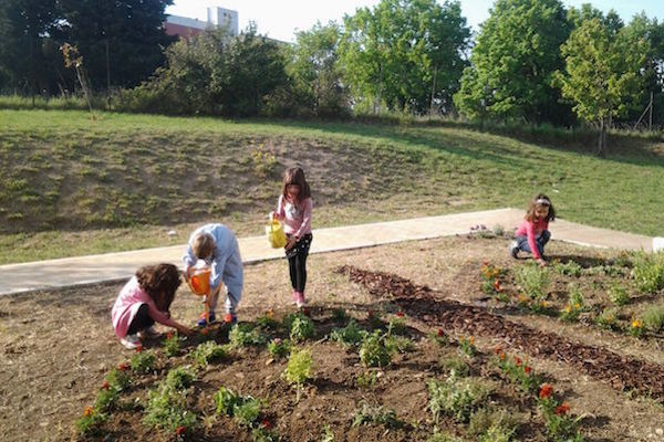 giardino farfalle scuola spataro h