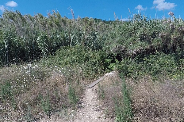 giungla accessi al mare h