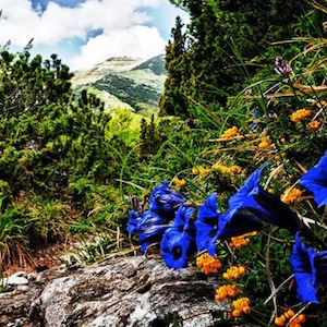 linea verde paesaggi abruzzo q