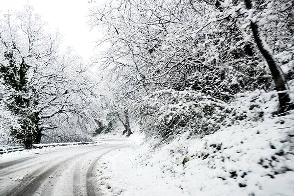 neve strada prov 2021 h