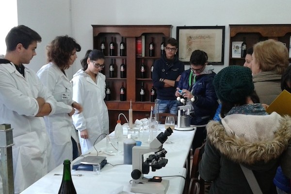 open day ridolfi 2014 h