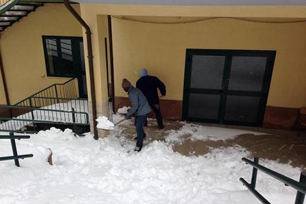 profughi neve h1