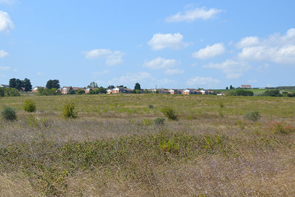 terreno nuovo ospedale h