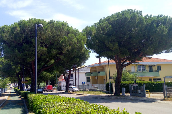 via pertini alberi h