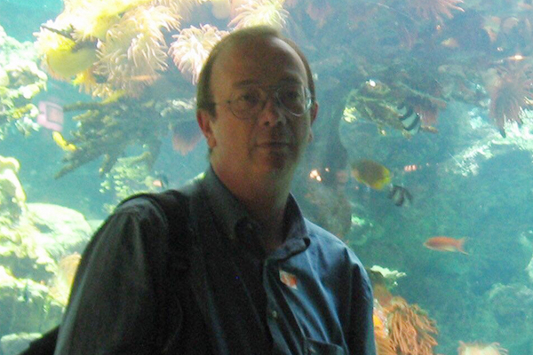 vittorio parente 2 h