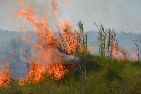 a incendio marva h