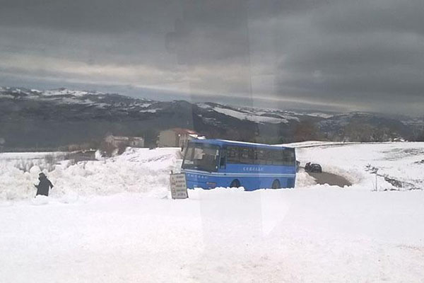 autobus neve h