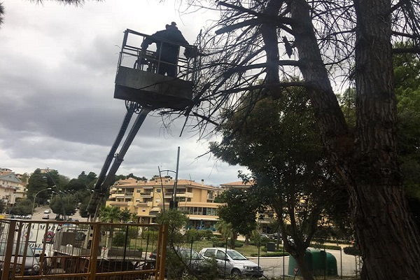 autogru protezione civile rami h