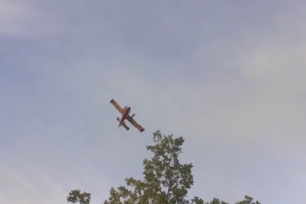 canadair dogliola