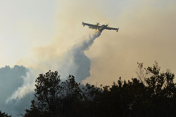 canadair dogliola2021 h