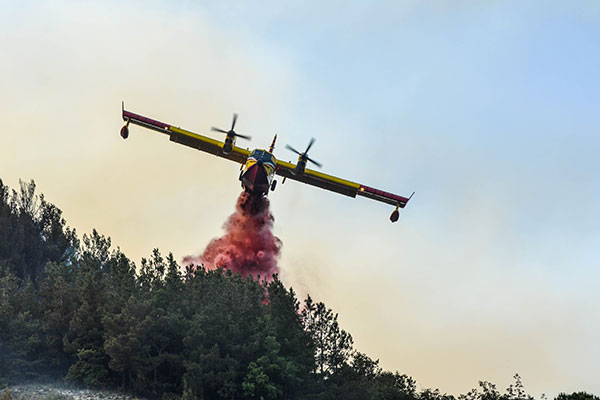 canadair dogliola2021 red h