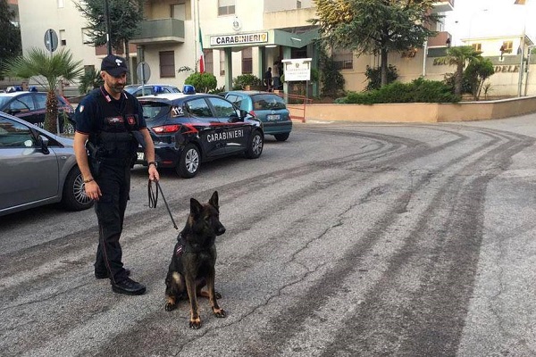 carabiniere cane unita cinofila h