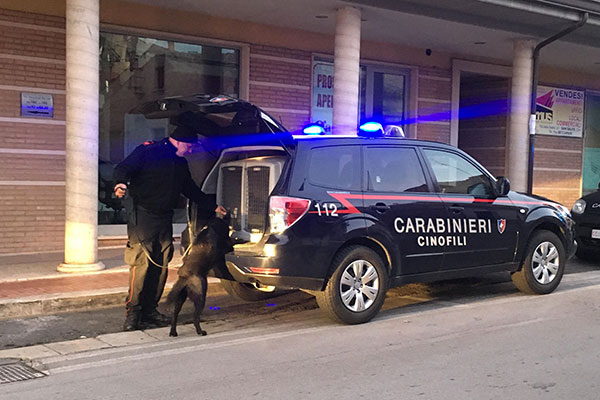 carabinieri cinofili sansalvo h