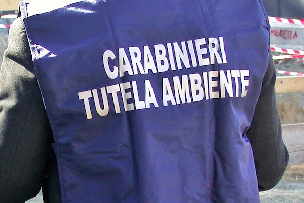 carabinieri noe h