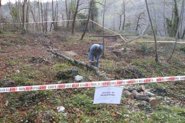 forestale sequestro alberi gissi h