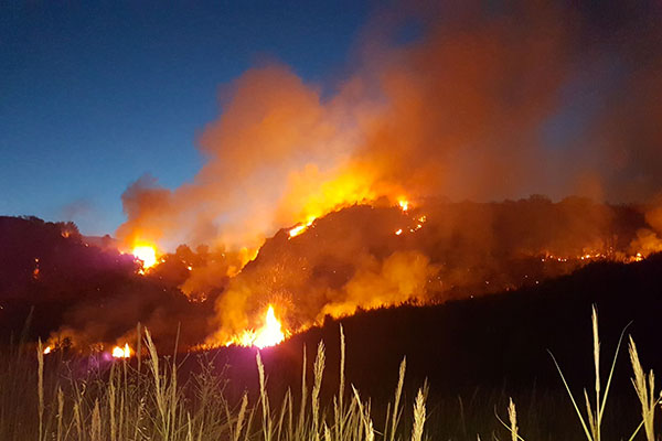 incendi 25luglio h