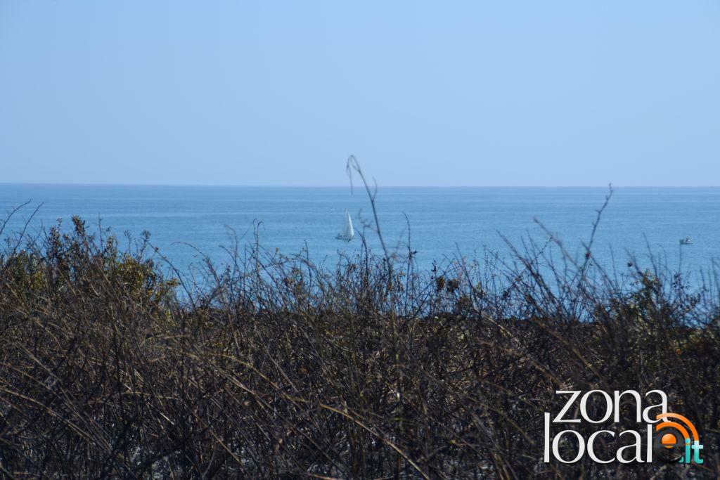 La zona incendiata vicino al faro