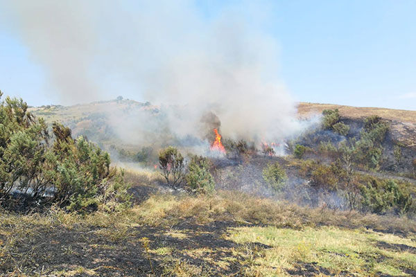 incendio carpineto18 h