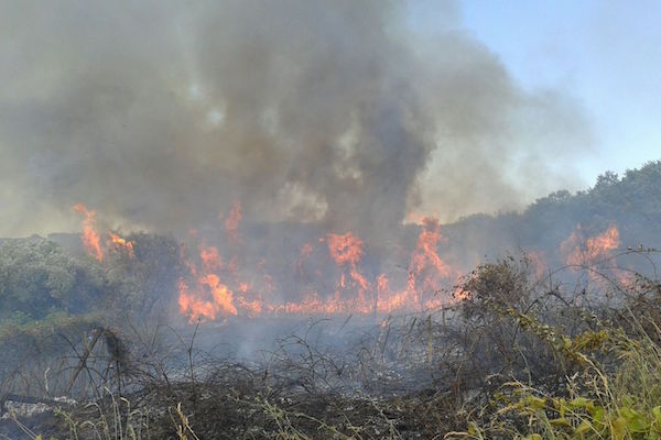 incendio casalbordino h