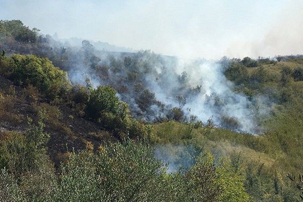 incendio casalbordino vidorni2 22ago2017 h