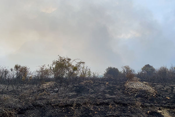 incendio castiglione ago21 h