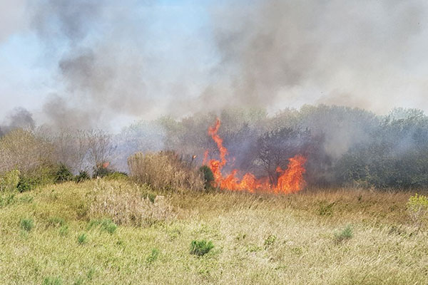 incendio foce trigno h