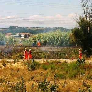 incendio fs 300